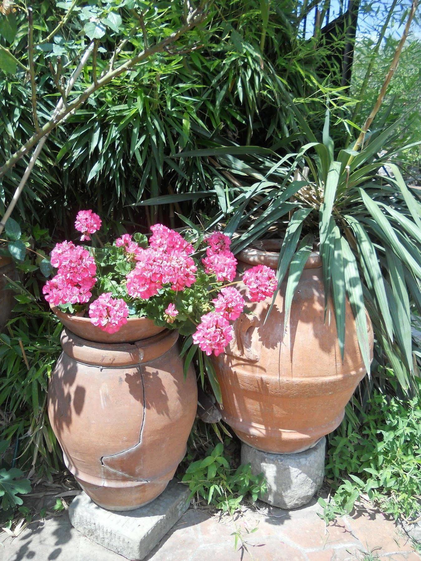 Agriturismo Le Macine Firenze Kültér fotó