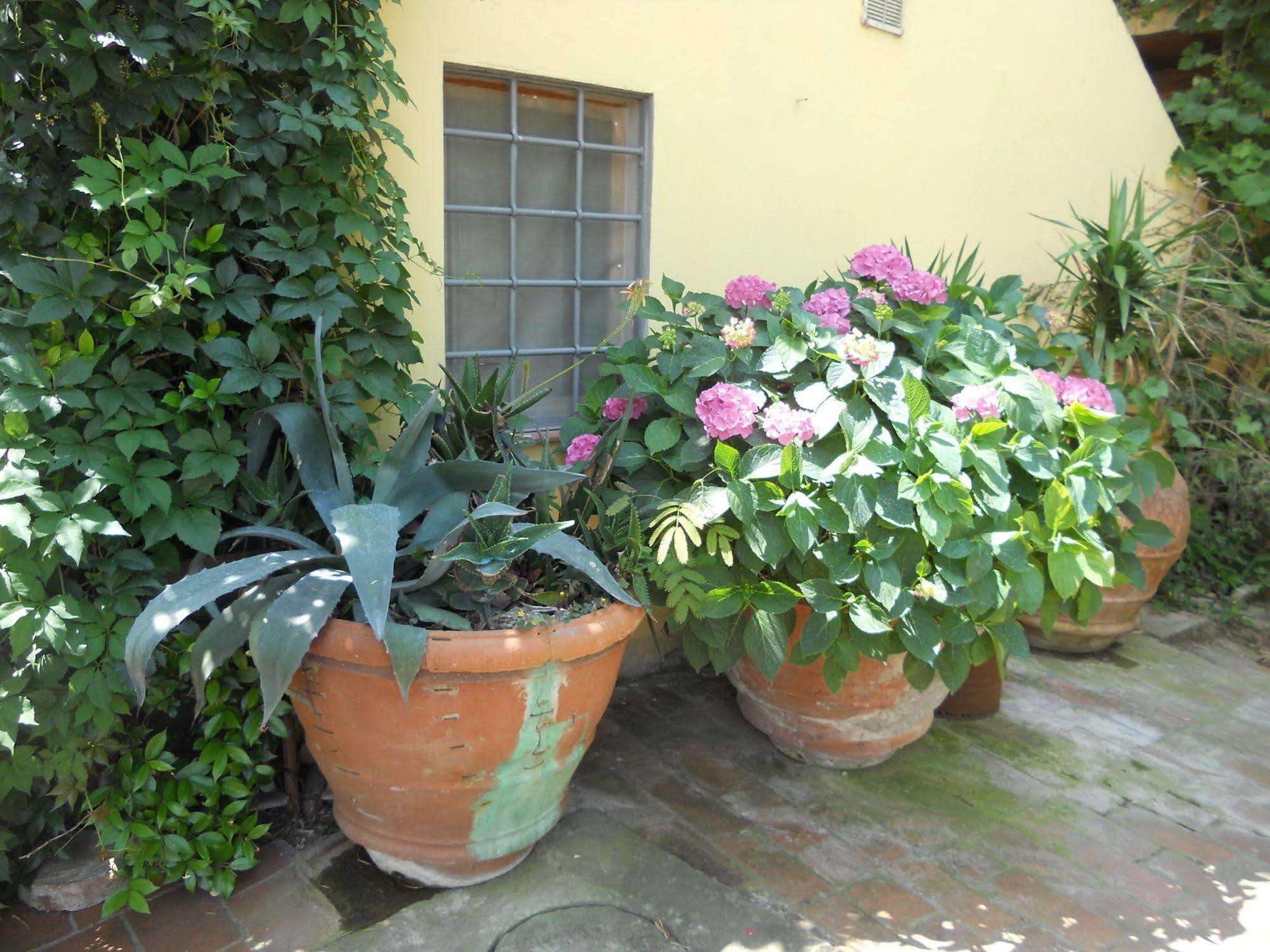 Agriturismo Le Macine Firenze Kültér fotó