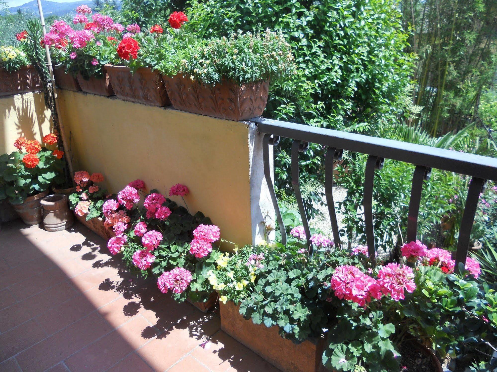 Agriturismo Le Macine Firenze Kültér fotó
